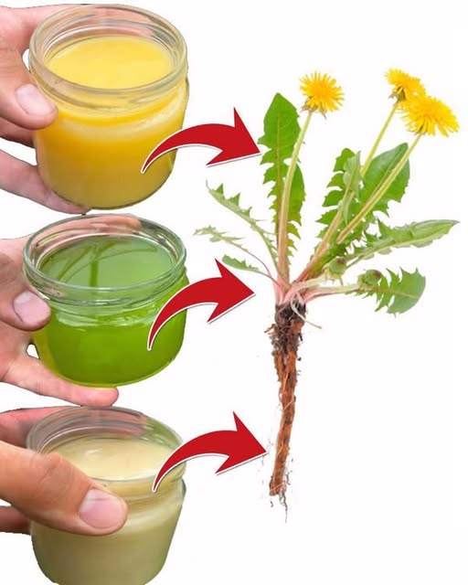 Diente de león en el campo