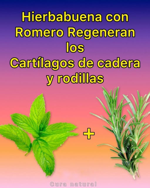 Hierbabuena con Romero