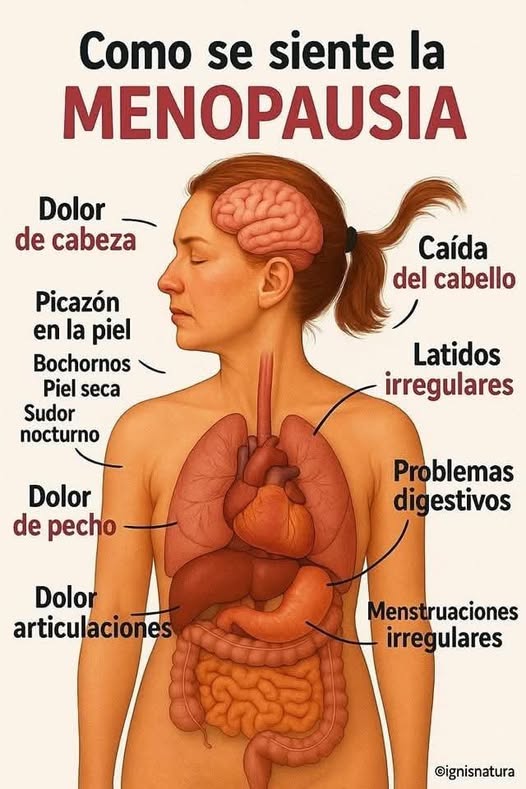 Mujer en menopausia