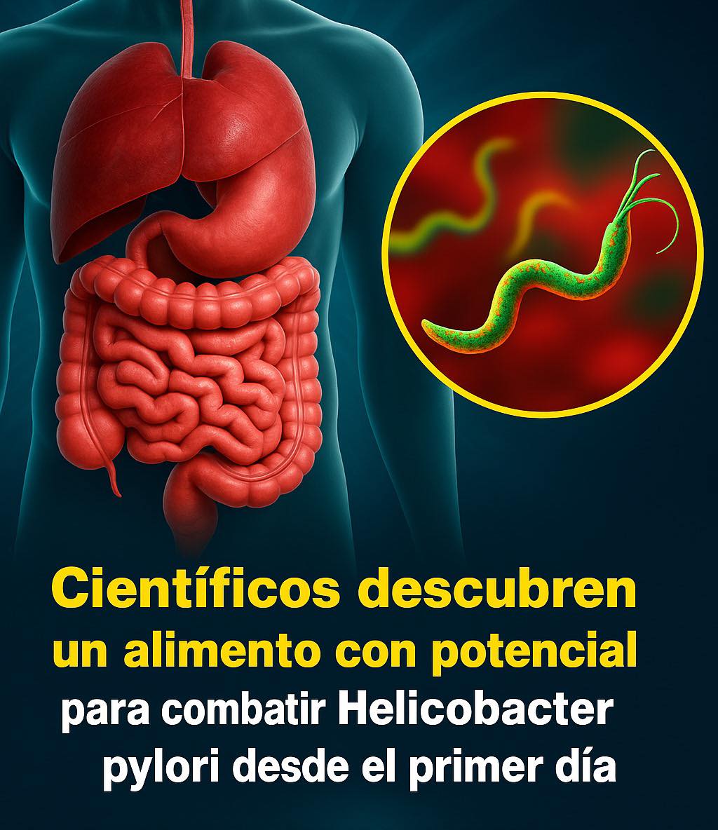 Descubrimiento de un Alimento para Combatir Helicobacter pylori