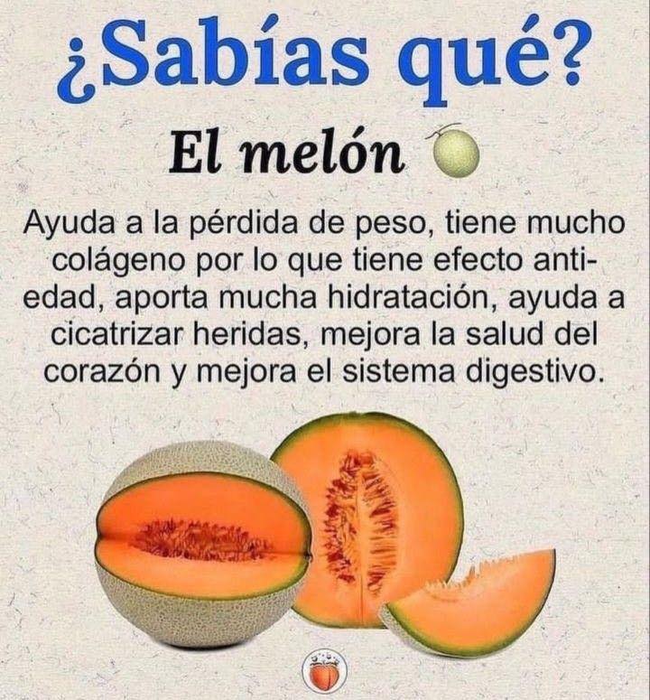 Descubre los Beneficios del Melón para tu Salud