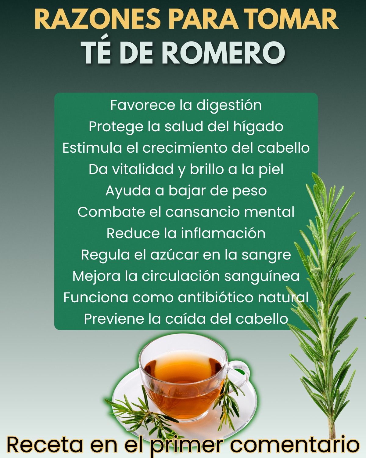 Beneficios del Té de Romero: Razones para Incluirlo en tu Dieta