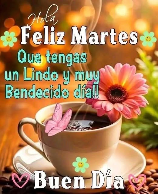 El Impacto del Contenido Visual en las Redes Sociales